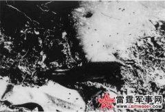 ����Ԯ��ϸ��ս�����������˷������۱�